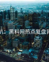 独家深扒：黑料网热点复盘背后原因