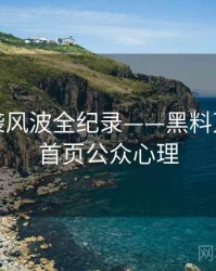 独家抄袭风波全纪录——黑料万里长征首页公众心理