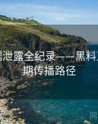 独家数据泄露全纪录——黑料正能量往期传播路径