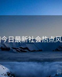 黑料网今日最新社会热点风向研判