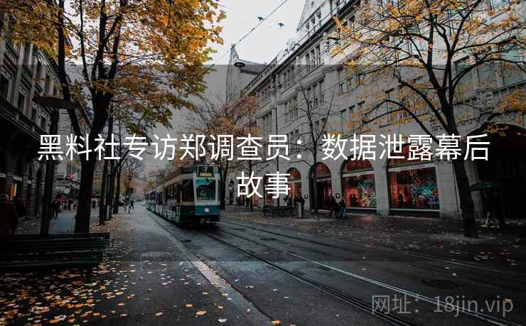 黑料社专访郑调查员:数据泄露幕后故事 黑料社专访郑调查员:数据泄露幕后故事